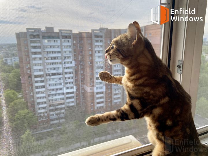 Антикошка Днепр